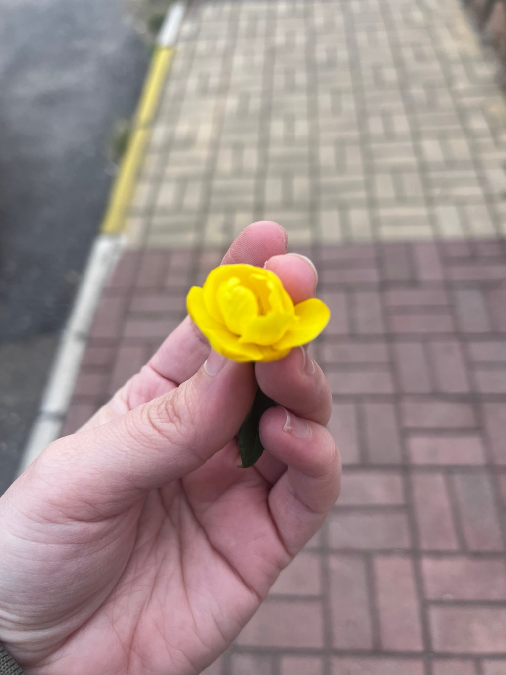 Birtakım Soruların Yalın&nbsp;Sorgusu